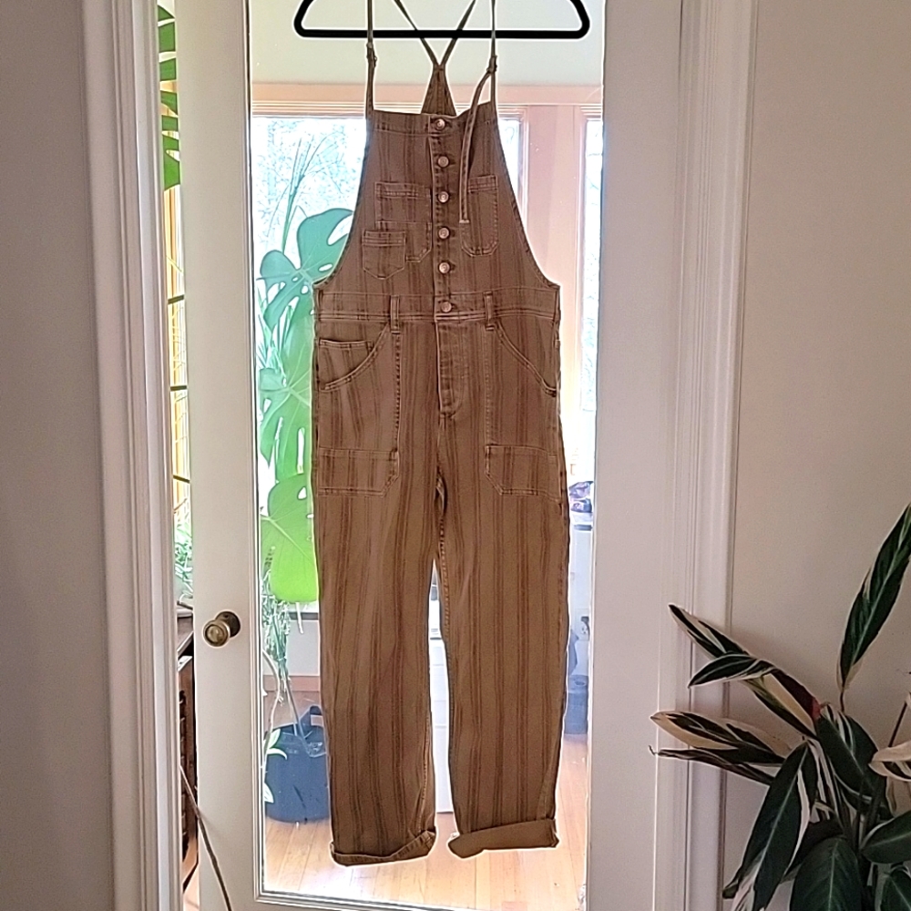 Anthropologie Pilcro Painters Denim Overalls (Brown Motif)